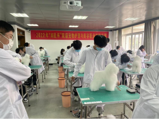 1653524745923602.png image.png